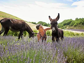 france-authentique-5raisons