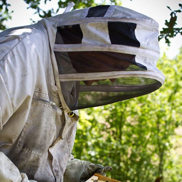 Photo-page-Accueillant---Comment-ca-marche-600x600